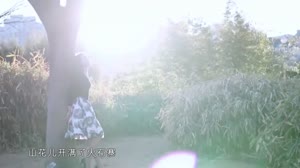 美女写真视频 - 阿哥的眼泪 马希尔 MV音乐在线观看