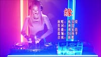 缘 DJ苏平版 DJ夜店车载MV视频现场 韩宝仪 MV音乐在线观看