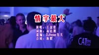 情字最大 DJheap九天版 DJ夜店车载MV视频现场 王富贵 MV音乐在线观看