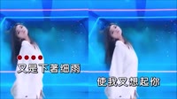 又是细雨 DJ默涵版 DJ美女热舞车载MV视频现场