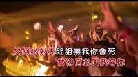 杨静-爱人叨位去-闽南语-DJWEI-DJ夜店车载MV视频现场