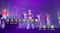 夏奈-乌梅子酱-女版-DJ敏少-DJ夜店车载MV视频现场