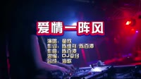 童欣-爱情一阵风-Dj平仔-DJ夜店车载MV视频现场 童欣 MV音乐在线观看