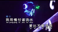 羊羊-用情-Dj光仔 Electro-夜店视频 羊羊 MV音乐在线观看