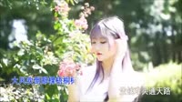 侯泽润-大风吹倒梧桐树-DJEVA版-美女写真DJ车载视频