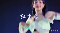 红尘恋 DJ宝剑 美女热舞慢摇精品汽车音响视频
