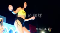 城市的蝴蝶 dj阿远 美女热舞汽车音响视频