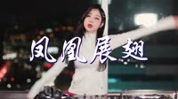 凤凰展翅 DJ版 DJ美女打碟现场视频