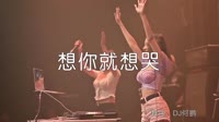 想你就想哭 DJ何鹏版 DJ美女打碟现场视频 王爱华 MV音乐在线观看