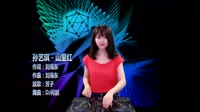 山里红 DJ何鹏 芳子DJ美女打碟现场视频