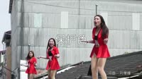 保护色 阳山Dj欧仔 美女热舞汽车音响DJ视频 刘增瞳 MV音乐在线观看