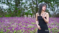 手放开 DJ大禹Remix 美女写真DJ车载视频 李圣杰 MV音乐在线观看