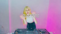 茶山情歌 DJR7 DJ美女打碟现场视频