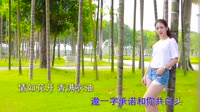 明月清风 DJ九天 美女写真DJ车载视频 路勇 MV音乐在线观看
