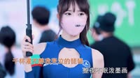 崔伟立vs孙艺琪 相思帕 DJ悟空 美女车模汽车音乐DJ视频
