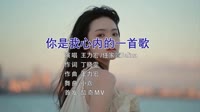 王力宏vs任家萱 你是我心内的一首歌 DJ小嘉 美女写真DJ车载视频