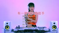 有一种爱叫做放手 DjPad仔车载版 DJ美女打碟现场视频 王雅洁 MV音乐在线观看