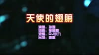 天使的翅膀 DJ小九 Electro 夜店DJ车载MV视频