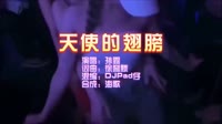天使的翅膀 DJPad仔 夜店dj视频蹦迪车载MV现场视频
