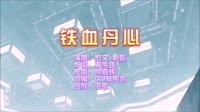 罗文vs甄妮 铁血丹心 DJ林传武 DJ夜店车载MV视频现场