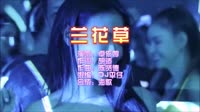 兰花草 Dj平仔 DJ夜店车载MV视频现场