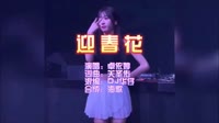 迎春花 DJ华仔 DJ夜店车载MV视频现场
