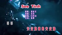 See Tình DJ版 DJ夜店车载MV视频现场 黄垂灵 MV音乐在线观看