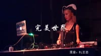 完美世界 DJ王志 dj夜店美女酒吧现场视频