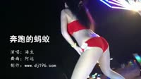 奔跑的蚂蚁-DJ阿远-美女热舞汽车音响视频